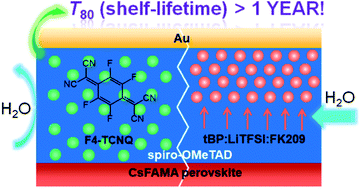 Graphical abstract: Beyond hydrophobicity: how F4-TCNQ doping of the hole transport material improves stability of mesoporous triple-cation perovskite solar cells