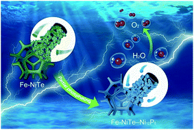 Graphical abstract: Efficient water oxidation using an Fe-doped nickel telluride–nickel phosphide electrocatalyst by partial phosphating