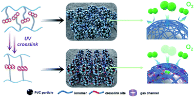 Graphical abstract: UV-crosslinkable anthracene-based ionomer derived gas “Expressway” for anion exchange membrane fuel cells