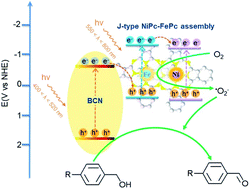 Graphical abstract: Dual-metal Ni and Fe phthalocyanine/boron-doped g-C3N4Z-scheme 2D-heterojunctions for visible-light selective aerobic alcohol oxidation
