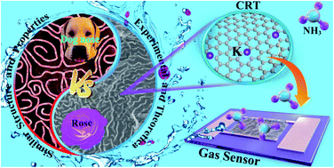Graphical abstract: A dog nose-inspired high-performance NH3 gas sensor of biomass carbon materials with a pleated structure derived from rose tea