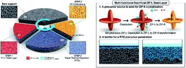 Graphical abstract: A sacrificial ZIF-L seed layer for sub-100 nm thin propylene-selective ZIF-8 membranes