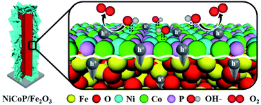 Graphical abstract: Constructing large-size and ultrathin NiCoP nanosheets on an Fe2O3 photoanode toward efficient solar water splitting