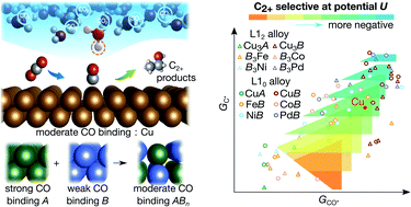 Graphical abstract: Screening binary alloys for electrochemical CO2 reduction towards multi-carbon products