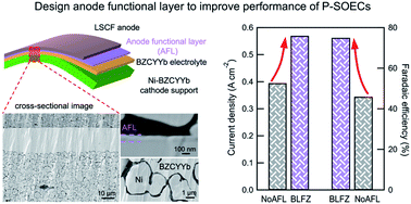 Graphical abstract: Design of anode functional layers for protonic solid oxide electrolysis cells