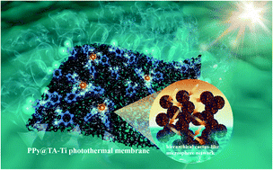 Graphical abstract: Hierarchical cactus-like microsphere network membranes engineered via multiple polyphenol-mediated complexation for efficient solar-powered water purification