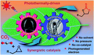 Graphical abstract: Greenery-inspired nanoengineering of bamboo-like hierarchical porous nanotubes with spatially organized bifunctionalities for synergistic photothermal catalytic CO2 fixation