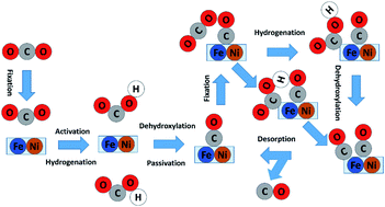 Graphical abstract: Reaction mechanism and kinetics for carbon dioxide reduction on iron–nickel Bi-atom catalysts