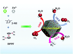 Graphical abstract: Facile synthesis of Fe2P/Co embedded trifunctional electrocatalyst for high-performance anion exchange membrane fuel cells, rechargeable Zn–air batteries, and overall water splitting