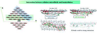 Graphical abstract: Insights from molecular dynamics simulations for interaction between cellulose microfibrils and hemicellulose