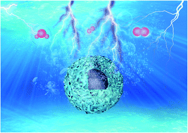 Graphical abstract: Ru, B Co-doped hollow structured iron phosphide as highly efficient electrocatalyst toward hydrogen generation in wide pH range