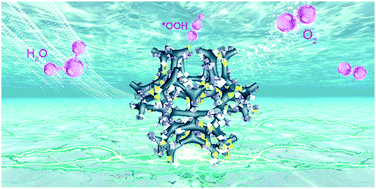 Graphical abstract: High-efficiency oxygen evolution catalyzed by Sn–Co–Ni phosphide with oriented crystal phases