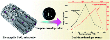 Graphical abstract: A highly sensitive and selective nitric oxide/butanone temperature-dependent sensor based on waste biomass-derived mesoporous SnO2 hierarchical microtubes