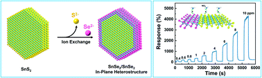 Graphical abstract: A lateral built-in field of the 2D/2D SnS2/SnSe2 in-plane heterostructure with boosted interfacial charge transfer