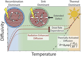 Graphical abstract: Dose rate dependent cation & anion radiation enhanced diffusion in hematite