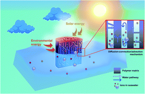 Graphical abstract: A self-regenerating 3D sponge evaporator with a tunable porous structure for efficient solar desalination