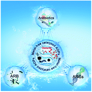 Graphical abstract: Recent advances in metal-free catalysts for the remediation of antibiotics, antibiotic resistant bacteria (ARB), and antibiotic resistant genes (ARGs)