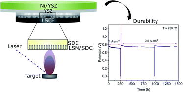 Graphical abstract: Functional thin films as cathode/electrolyte interlayers: a strategy to enhance the performance and durability of solid oxide fuel cells