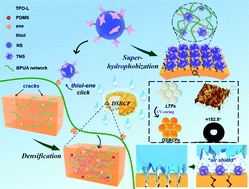 Graphical abstract: Dense and superhydrophobic biopolymer-coated large tablet produced with energy efficient UV-curing for controlled-release fertilizer