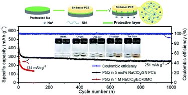 Graphical abstract: A rational configuration for ultralong lifespan all-solid-state organic sodium-metal batteries