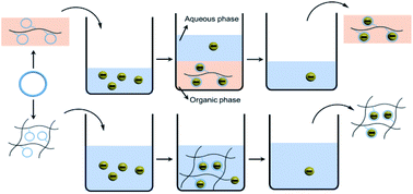 Graphical abstract: Anion extractants constructed by macrocycle-based anion recognition