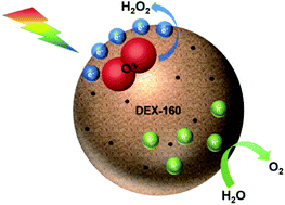 Graphical abstract: A carbon dot-based metal-free photocatalyst enables O2 to serve as both a reactant and electron sink for enhancing H2O2 photoproduction
