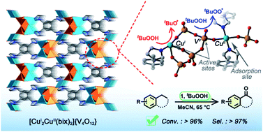 Graphical abstract: Highly efficient multi-site synergistic catalysis of a polyoxovanadate-based metal–organic framework for benzylic C–H bond oxidation