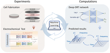 Graphical abstract: Machine-learning-assisted prediction of long-term performance degradation on solid oxide fuel cell cathodes induced by chromium poisoning