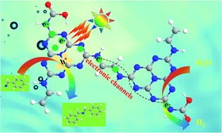 Graphical abstract: Edge- and bridge-engineering-mediated exciton dissociation and charge separation in carbon nitride to boost photocatalytic H2 evolution integrated with selective amine oxidation