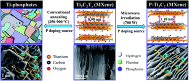 Graphical abstract: Microwave-assisted rapid synthesis of titanium phosphate free phosphorus doped Ti3C2 MXene with boosted pseudocapacitance