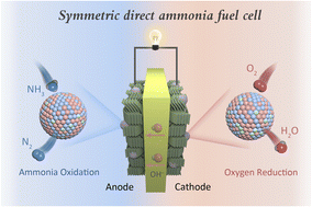 Graphical abstract: A symmetric direct ammonia fuel cell using ternary NiCuFe alloy embedded in a carbon network as electrodes
