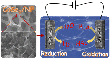 Graphical abstract: A bifunctional catalyst of ultrathin cobalt selenide nanosheets for plastic-electroreforming-assisted green hydrogen generation