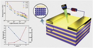 Graphical abstract: Enhancing two-dimensional perovskite photodetector performance through balancing carrier density and directional transport