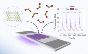 Graphical abstract: Indium-doping-induced selenium vacancy engineering of layered tin diselenide for improving room-temperature sulfur dioxide gas sensing