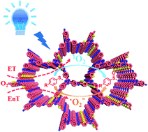 Graphical abstract: Modulating electronic structure of triazine-based covalent organic frameworks for photocatalytic organic transformations