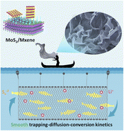 Graphical abstract: A high-throughput screening permeability separator with high catalytic conversion kinetics for Li–S batteries