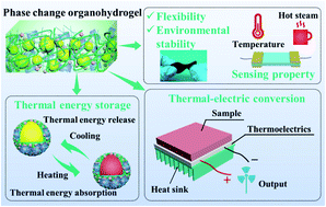 Graphical abstract: A flexible phase change organohydrogel created using Pickering emulsion technology for thermoelectric conversion and temperature sensing