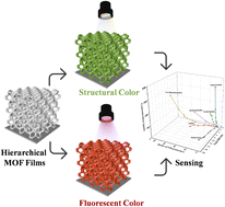 Graphical abstract: An electrochemically deposited ordered hierarchical metal–organic framework-based dual-module sensor for decoding organic vapors