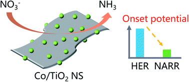 Graphical abstract: The selective electrocatalytic reduction of nitrate to ammonia using Co(ii)-decorated TiO2 nanosheets