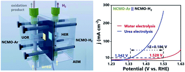 Graphical abstract: Co-doped Ni–Mo oxides: highly efficient and robust electrocatalysts for urea electrooxidation assisted hydrogen production