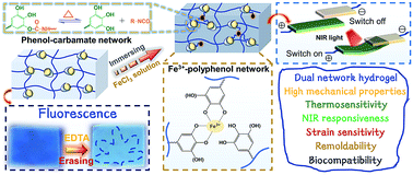 Graphical abstract: Multifunctional polyurethane hydrogel based on a phenol–carbamate network and an Fe3+–polyphenol coordination bond toward NIR light triggered actuators and strain sensors