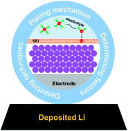 Graphical abstract: Atomistic insights into the morphology of deposited Li