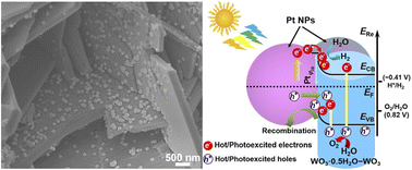 Graphical abstract: Plasmonic platinum nanoparticles–tungsten oxide nanoarchitectures as visible light photocatalysts for highly efficient overall water splitting