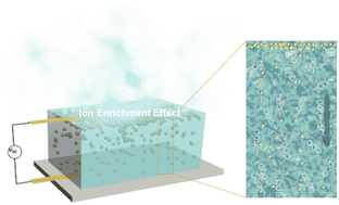 Graphical abstract: Spontaneous energy generation at the air–hydrogel interface with ultrahigh ion activity