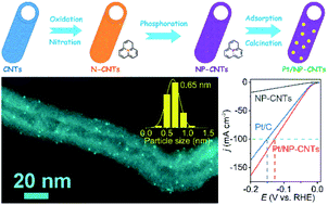 Graphical abstract: Sub-1 nm Pt nanoclusters on N and P co-doped carbon nanotubes for the electrocatalytic hydrogen evolution reaction