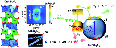 Graphical abstract: Plasmon-enhanced photocatalytic overall water-splitting over Au nanoparticle-decorated CaNb2O6 electrospun nanofibers