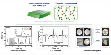 Graphical abstract: Supramolecular polyelectrolyte hydrogel based on conjoined double-networks for multifunctional applications