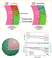 Graphical abstract: Regulation of surface oxygen activity in Li-rich layered cathodes using band alignment of vanadium phosphate surface coatings