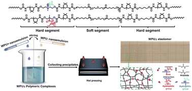 Graphical abstract: Turning things around: from cationic/anionic complexation-induced nanoemulsion instability to toughened water-resistant waterborne polyurethanes