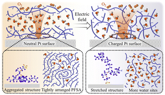 Graphical abstract: Enhanced oxygen transport in ionomer films on platinum electrodes via a local electric field